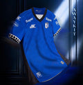 Jersey - Querétaro