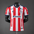 Jersey - San Luis