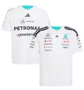 F1 - Mercedes